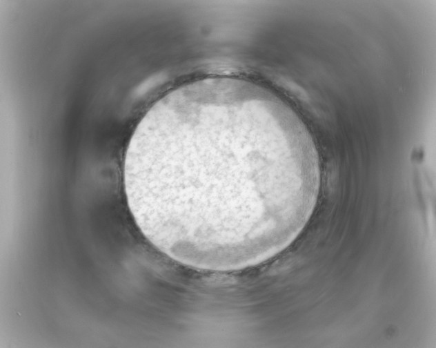 X0000093111446200710241232