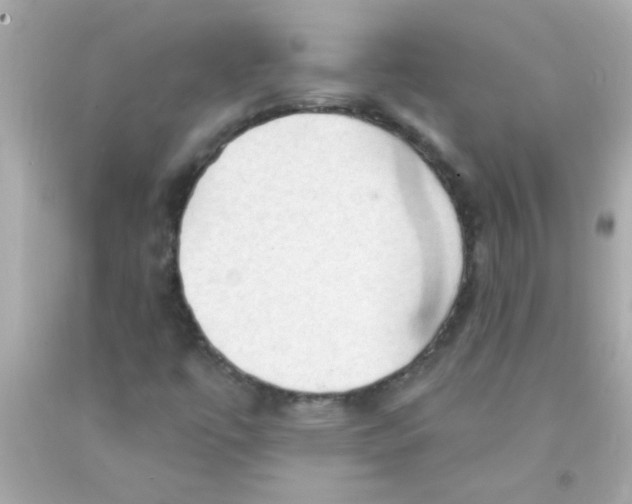 X0000093111447200710241232