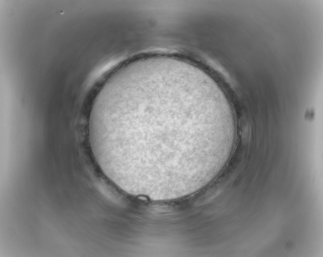 X0000093111448200710241232