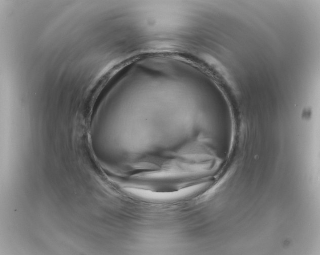 X0000093111449200710241232