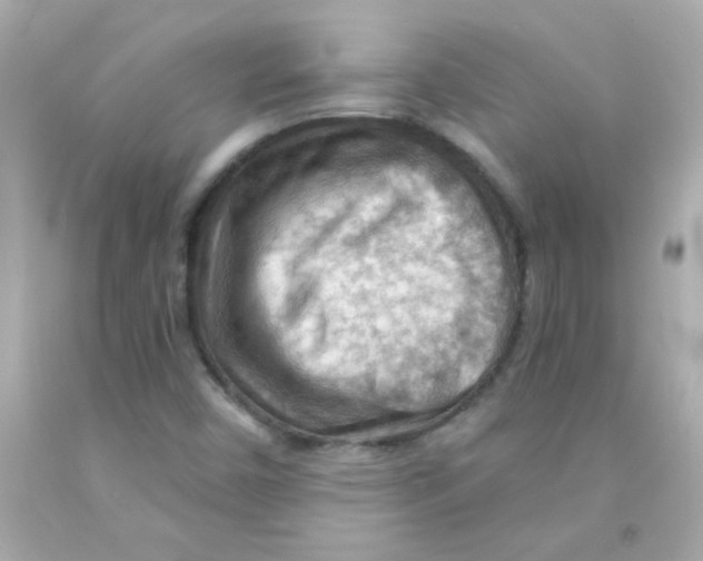 X0000093111450200710241232