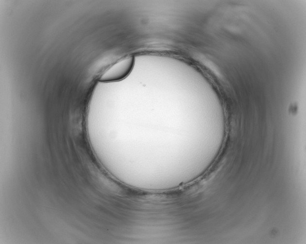 X0000093111451200710241232