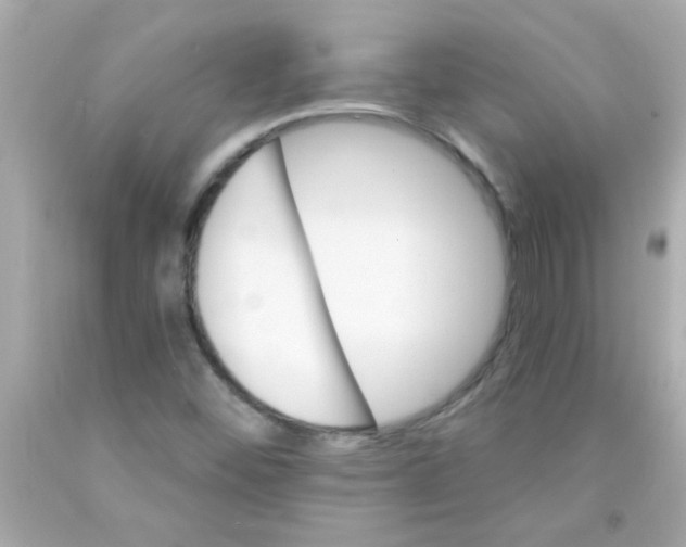 X0000093111452200710241232