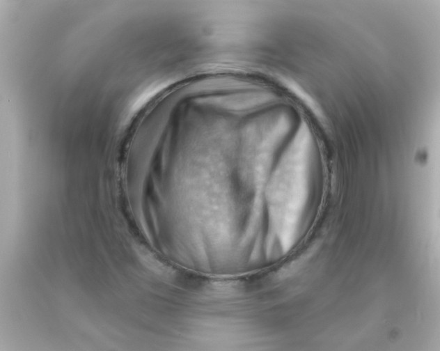 X0000093111453200710241232