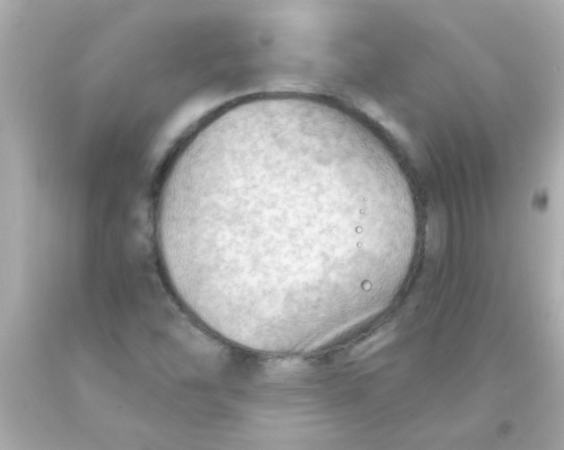 X0000093111454200710241232