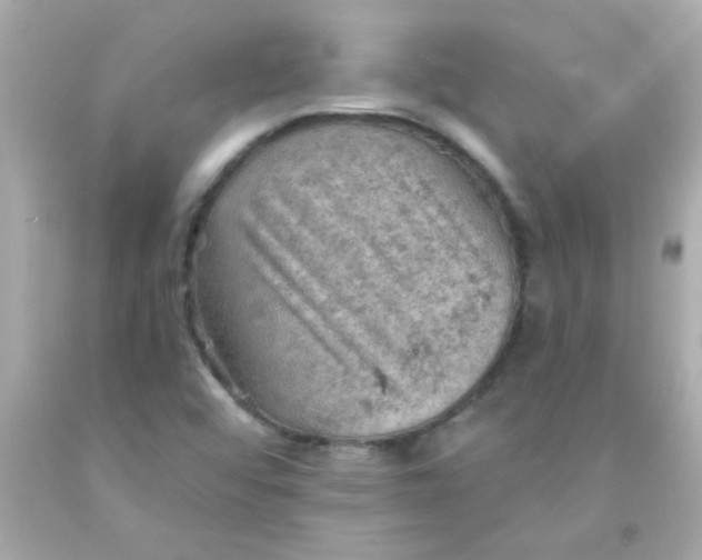 X0000093111456200710241232