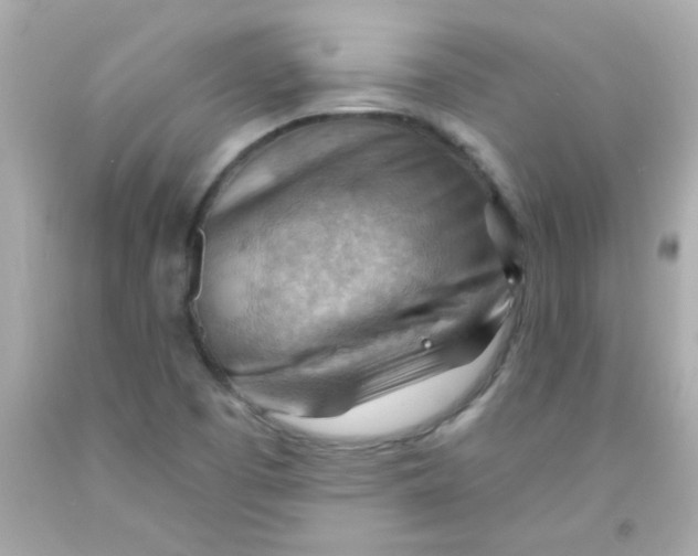 X0000093111457200710241232