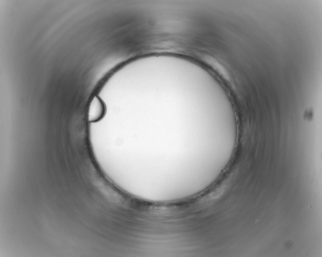 X0000093111458200710241232