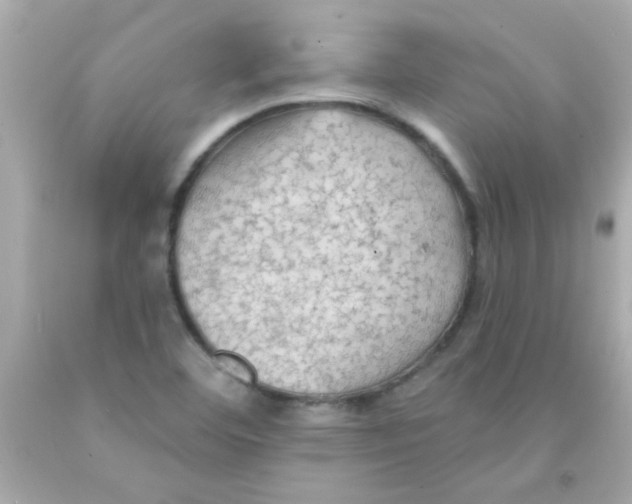 X0000093111460200710241232