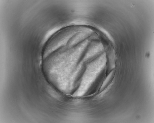 X0000093111461200710241232