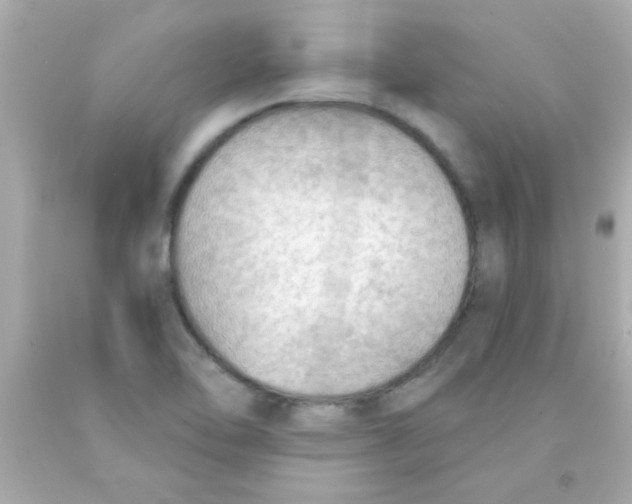 X0000093111462200710241232