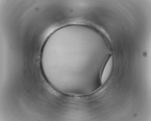 X0000093111463200710241232