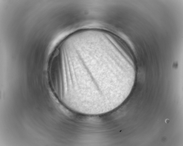 X0000093111464200710241232