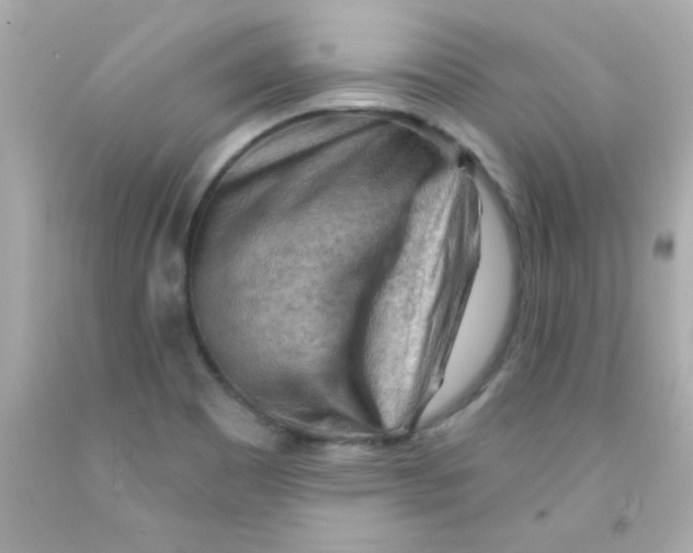 X0000093111465200710241232