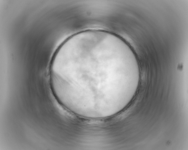 X0000093111466200710241232