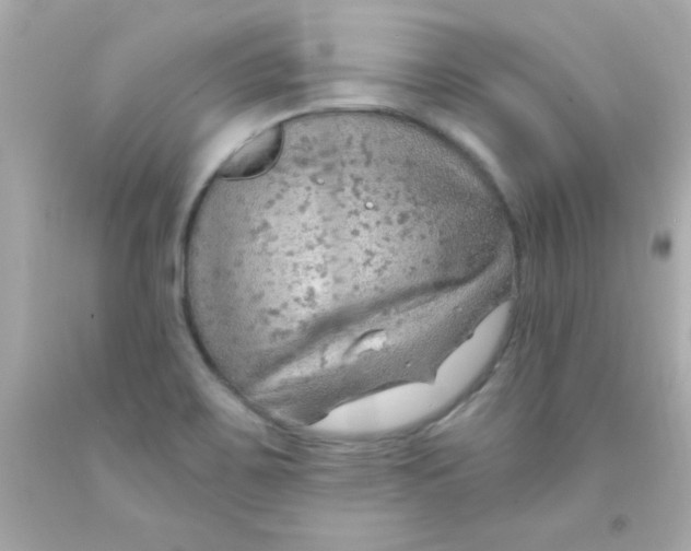 X0000093111467200710241232