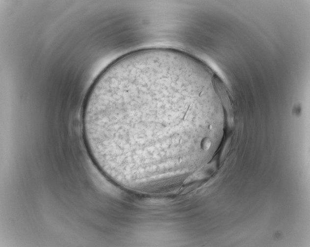 X0000093111468200710241232