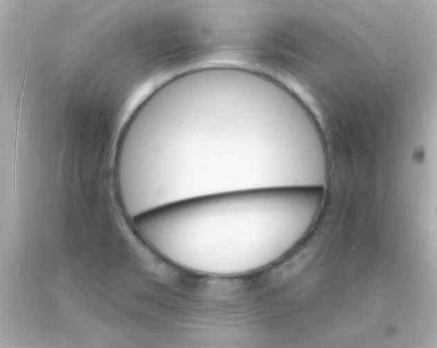 X0000093111469200710241232