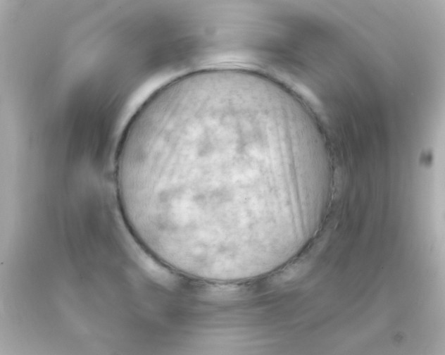 X0000093111470200710241232