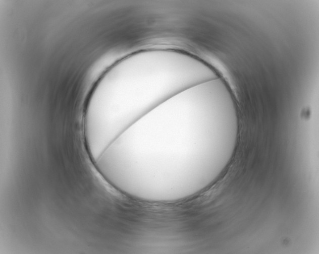 X0000093111472200710241232