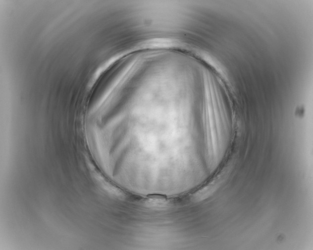 X0000093111473200710241232