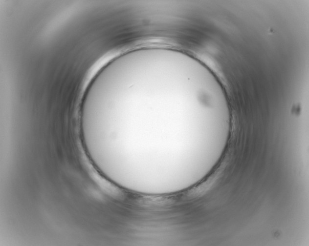 X0000093111474200710241232