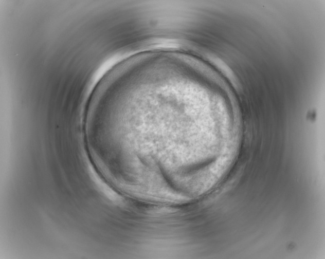 X0000093111475200710241232