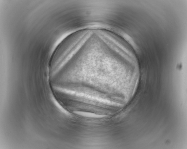 X0000093111476200710241232