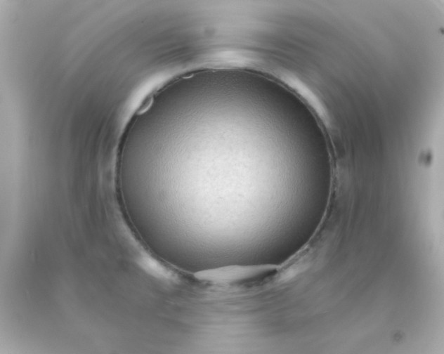 X0000093111477200710241232