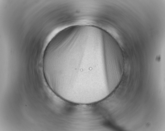 X0000093111478200710241232