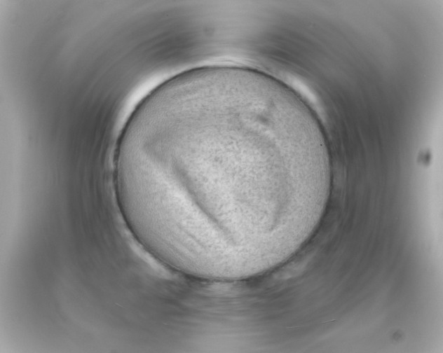 X0000093111480200710241232