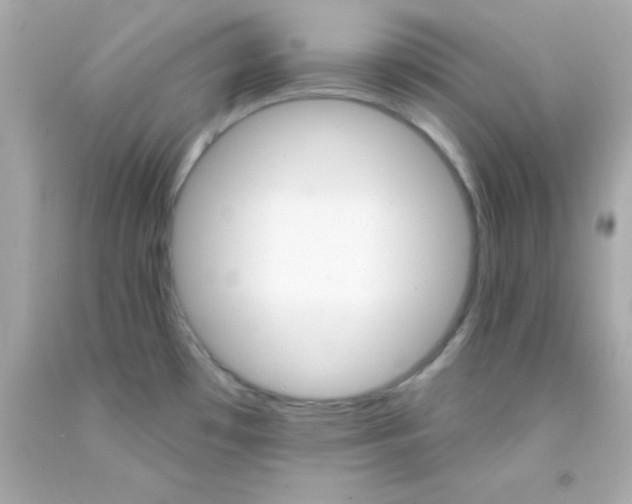 X0000093111481200710241232