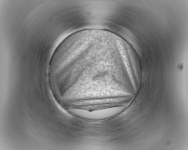 X0000093111484200710241232