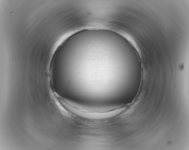 X0000093111485200710241232