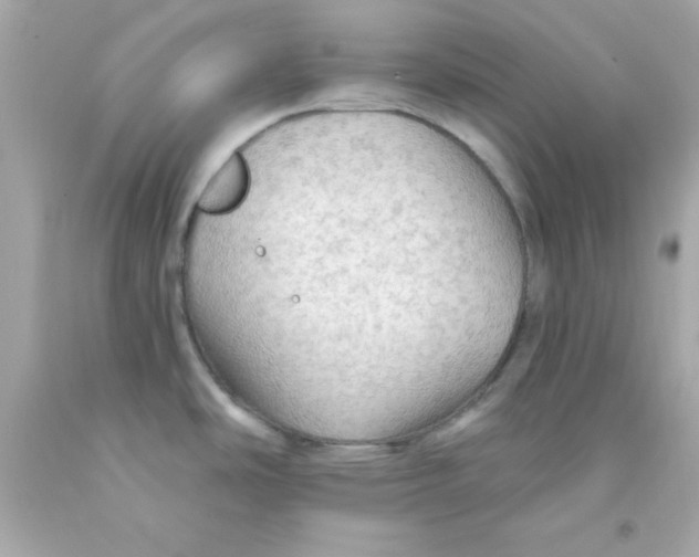 X0000093111486200710241232