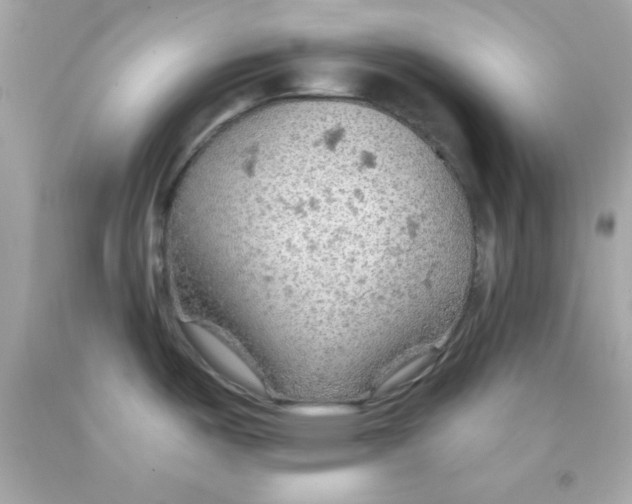 X0000093111487200710241232