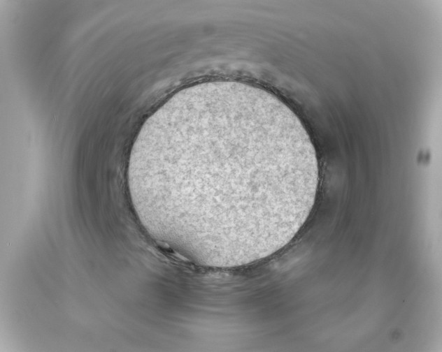 X0000093111489200710241231