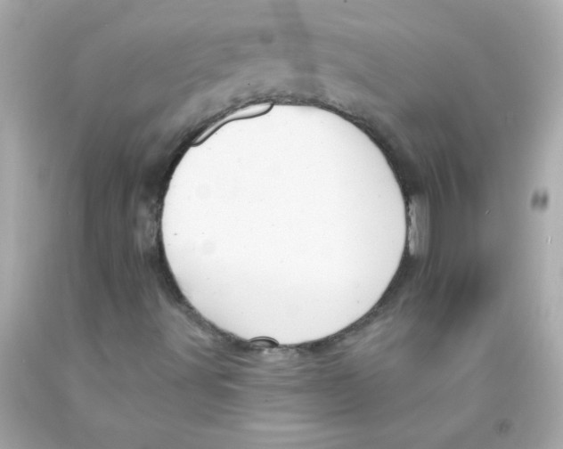 X0000093111491200710241231