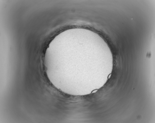 X0000093111493200710241231