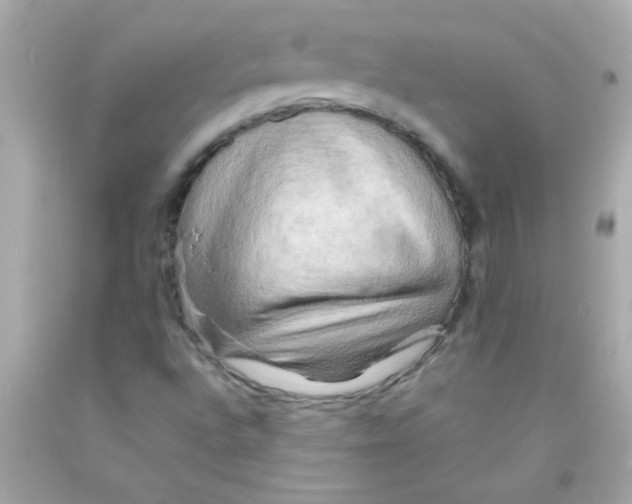 X0000093111496200710241231