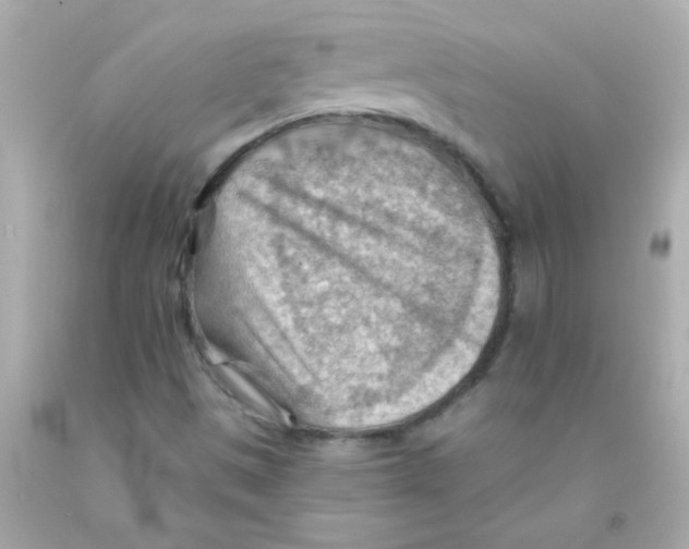 X0000093111497200710241231