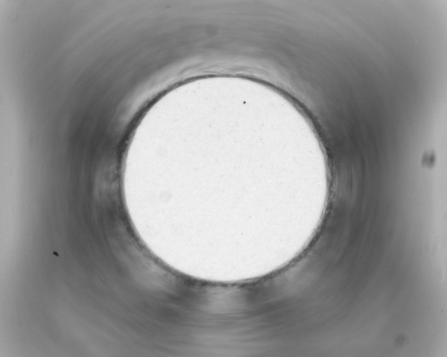 X0000093111498200710241231