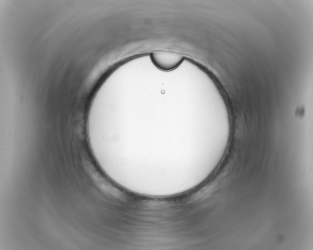 X0000093111499200710241231