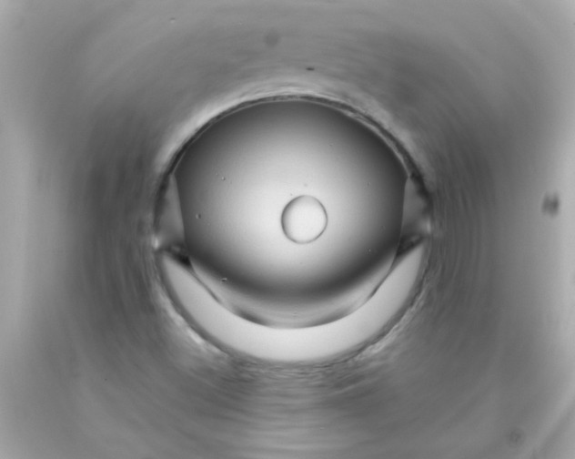 X0000093111500200710241231