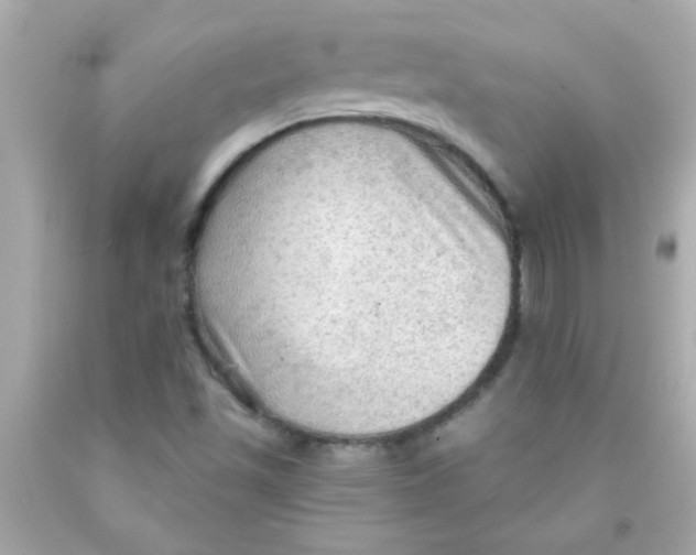 X0000093111501200710241231