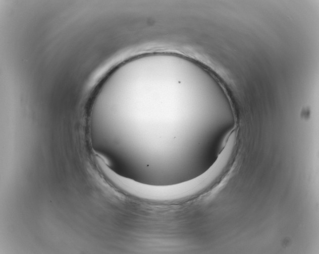 X0000093111502200710241231