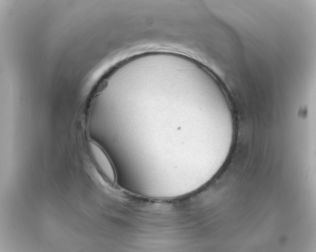 X0000093111503200710241231