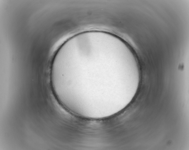 X0000093111504200710241231