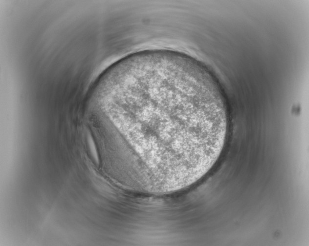 X0000093111505200710241231