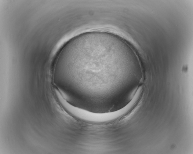 X0000093111506200710241231